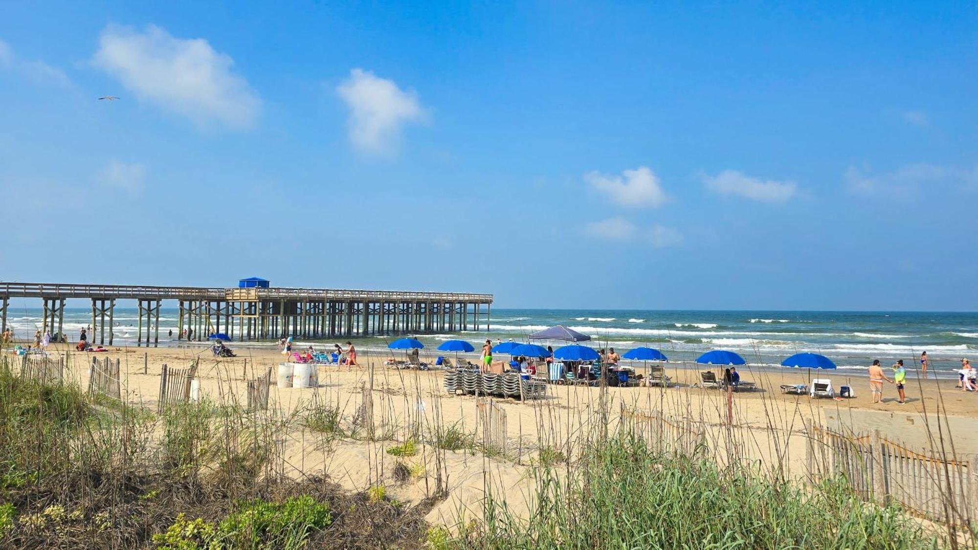 Herons Haven Coastal Elegance With Pool Access 223 South Padre Island Ngoại thất bức ảnh