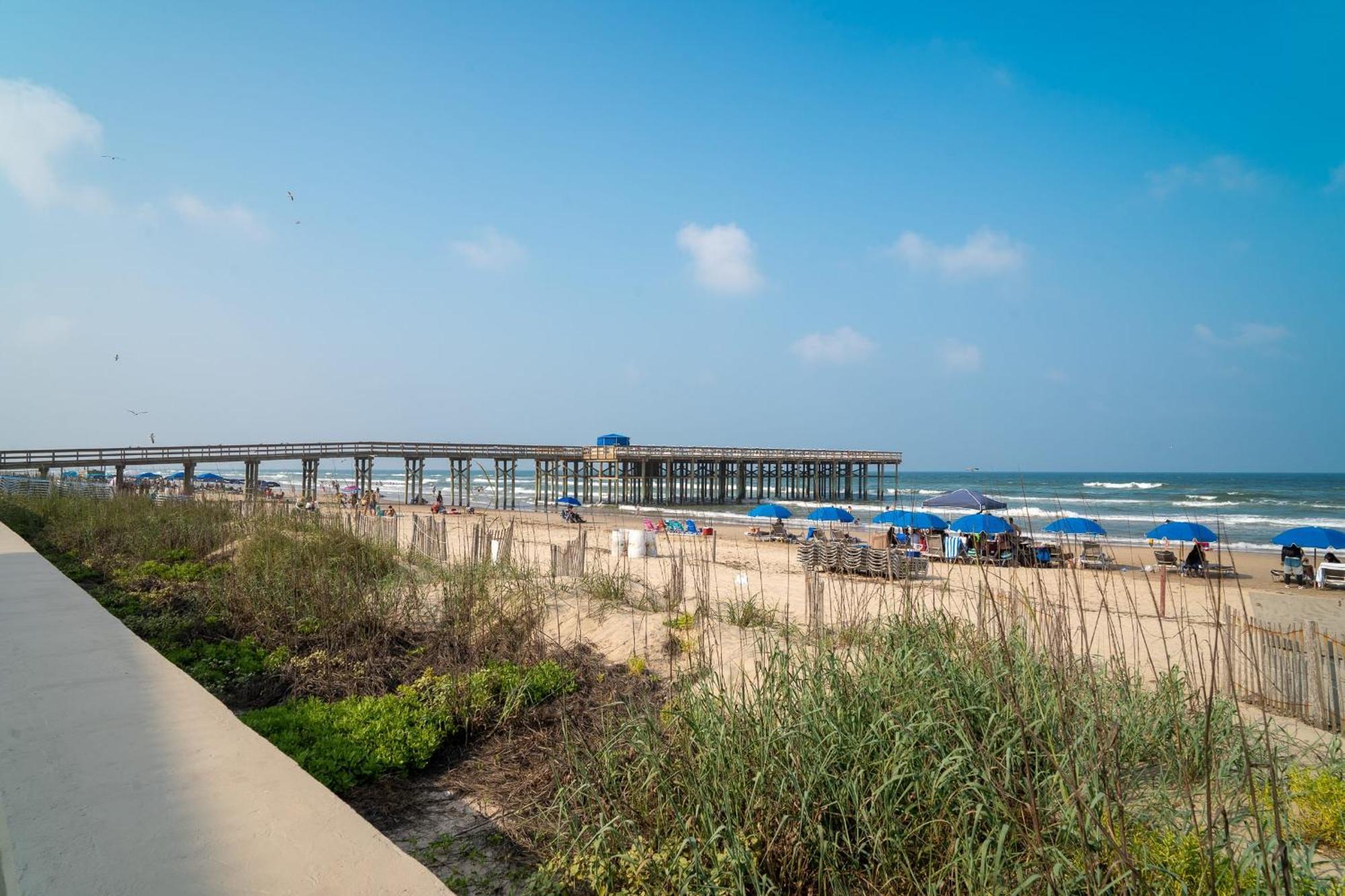 Herons Haven Coastal Elegance With Pool Access 223 South Padre Island Ngoại thất bức ảnh